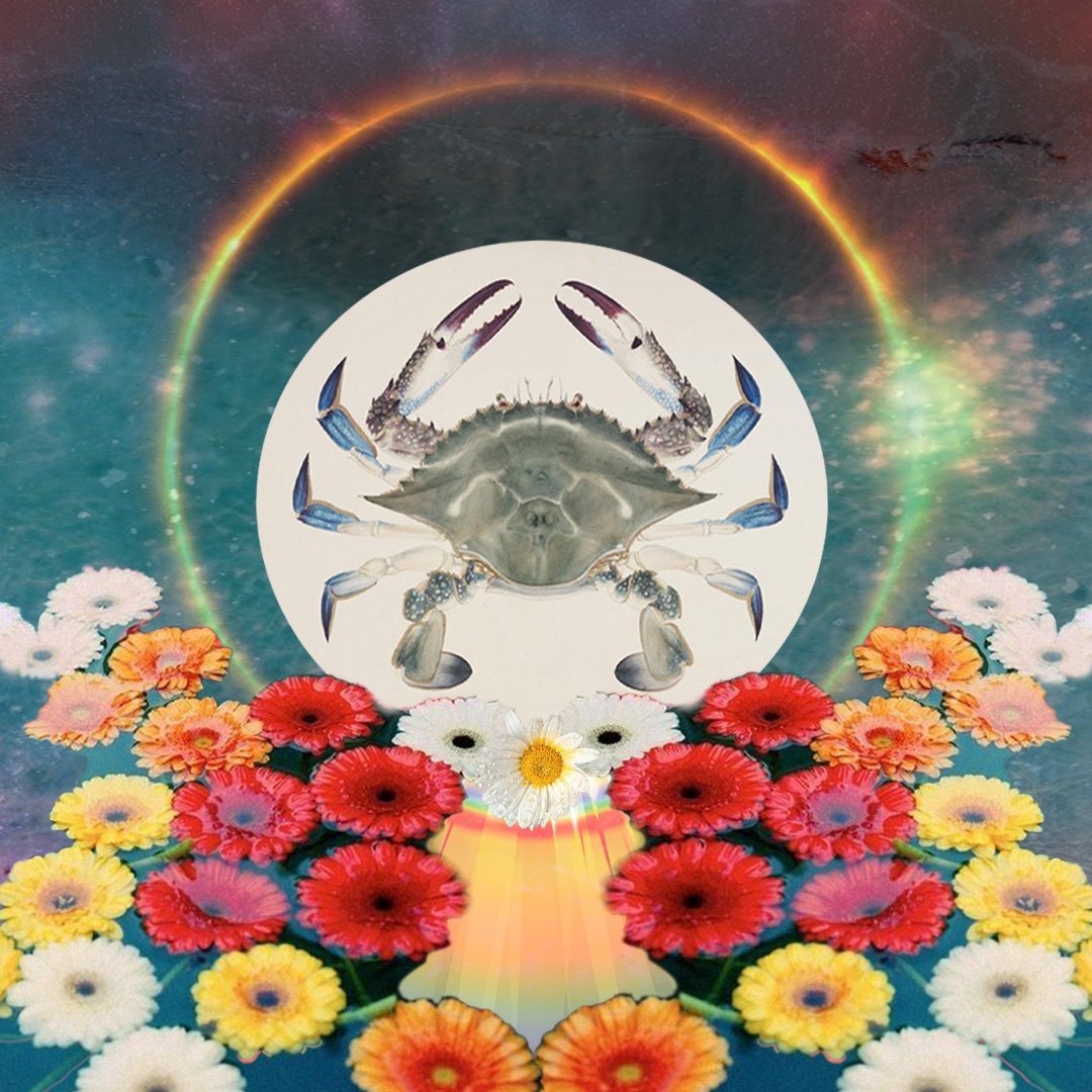 Intuitive Astrology: Cancer New Moon Solar Eclipse