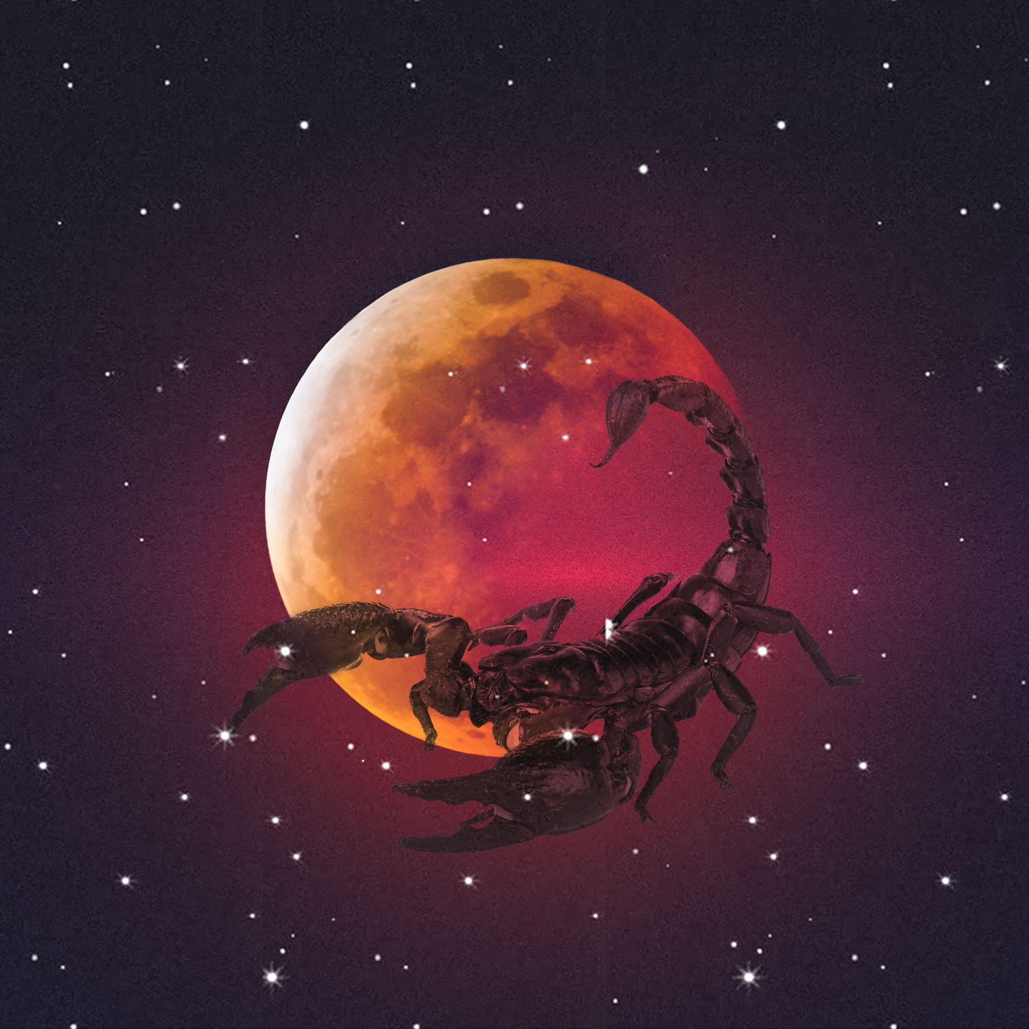 Intuitive Astrology: Full Moon Lunar Eclipse in Scorpio