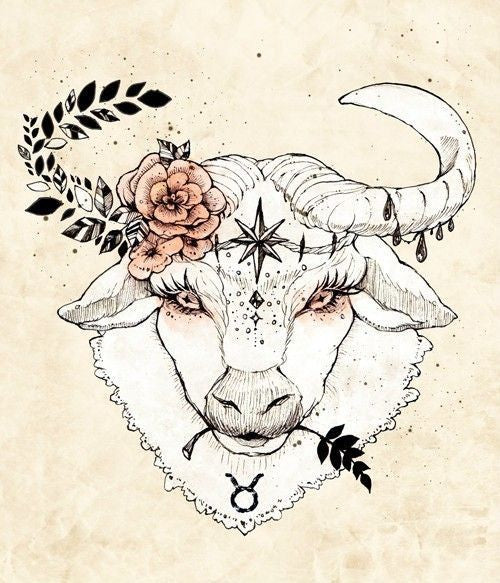Intuitive Astrology: New Moon in Taurus 2020