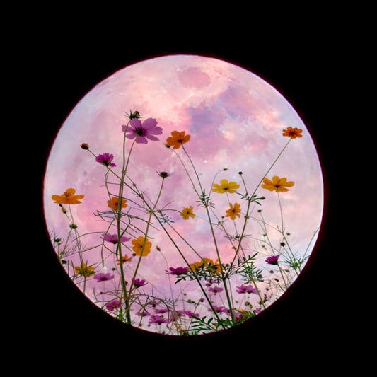 Intuitive Astrology: Super Full Moon in Scorpio 2020