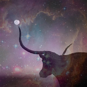 Intuitive Astrology: Full Moon in Taurus 2019