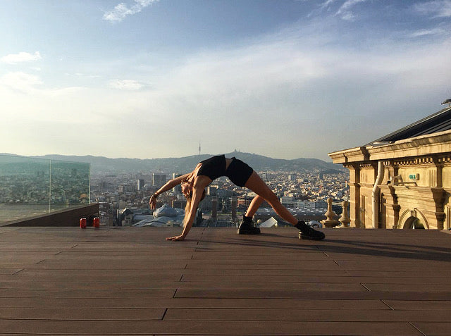 Flow with the Cosmos