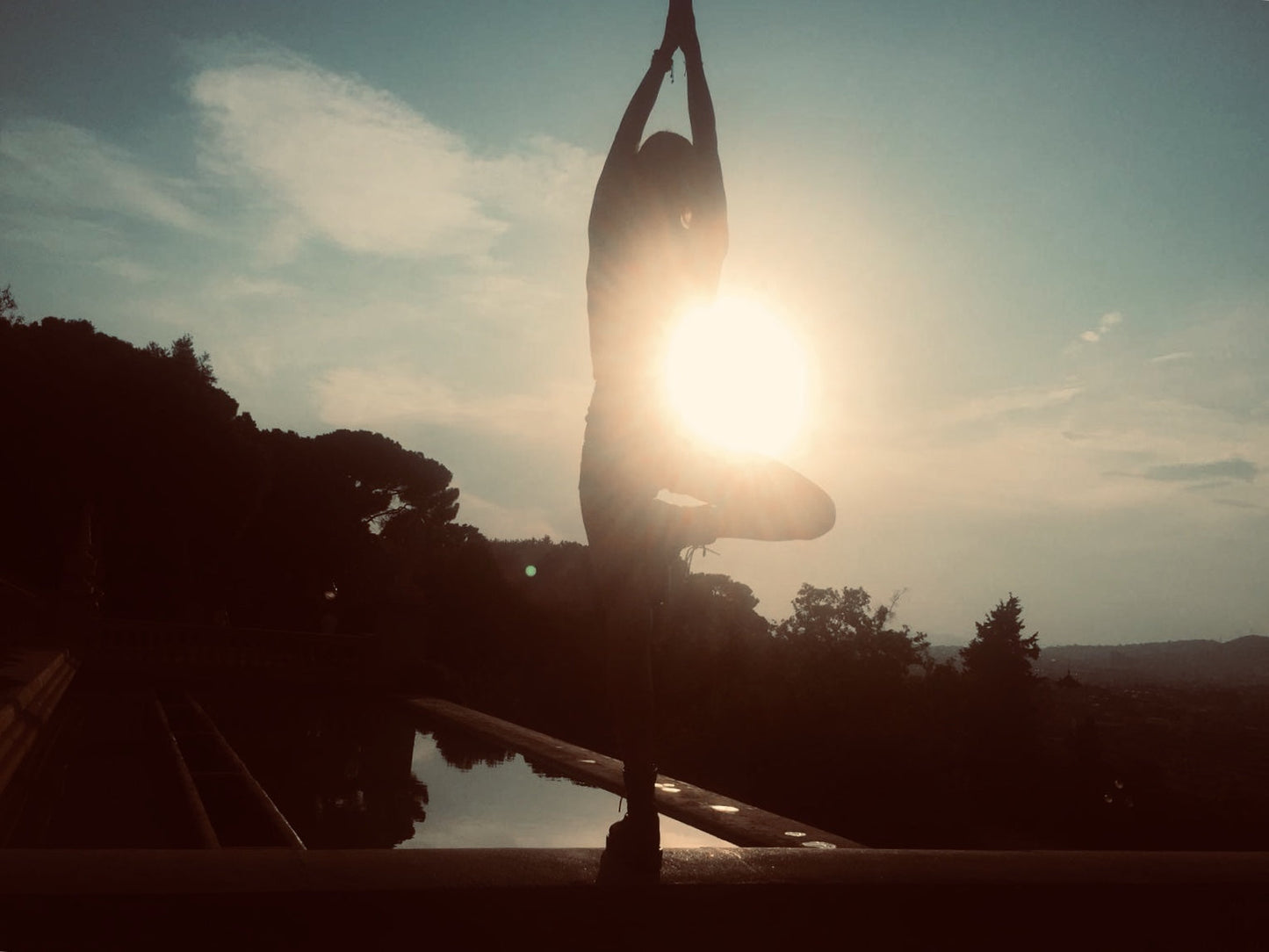 Flow with the Cosmos